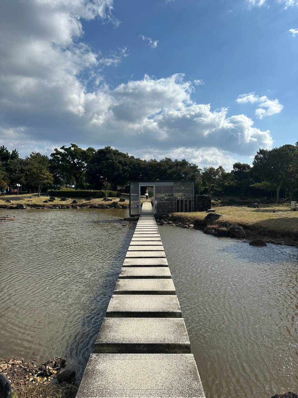 沿途經過的公園風景