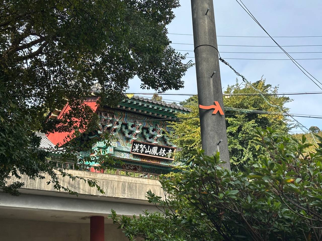 逆行的路標
