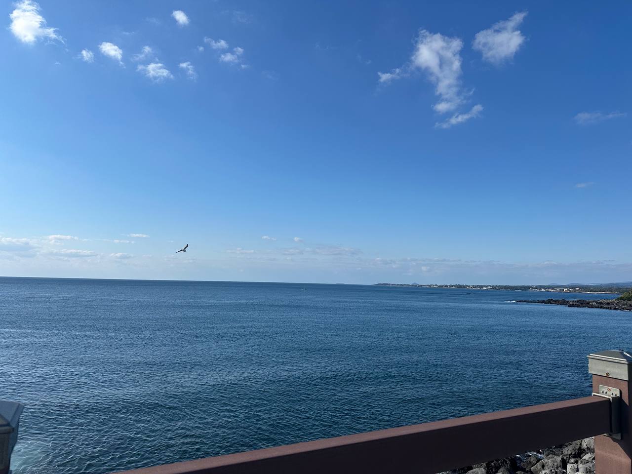 沿海徒步