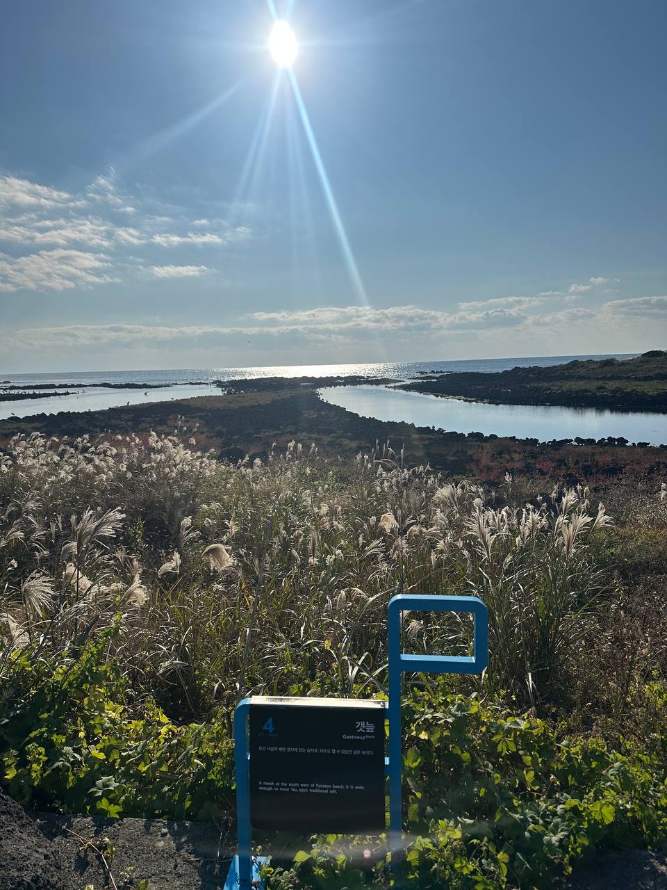 沿途美景