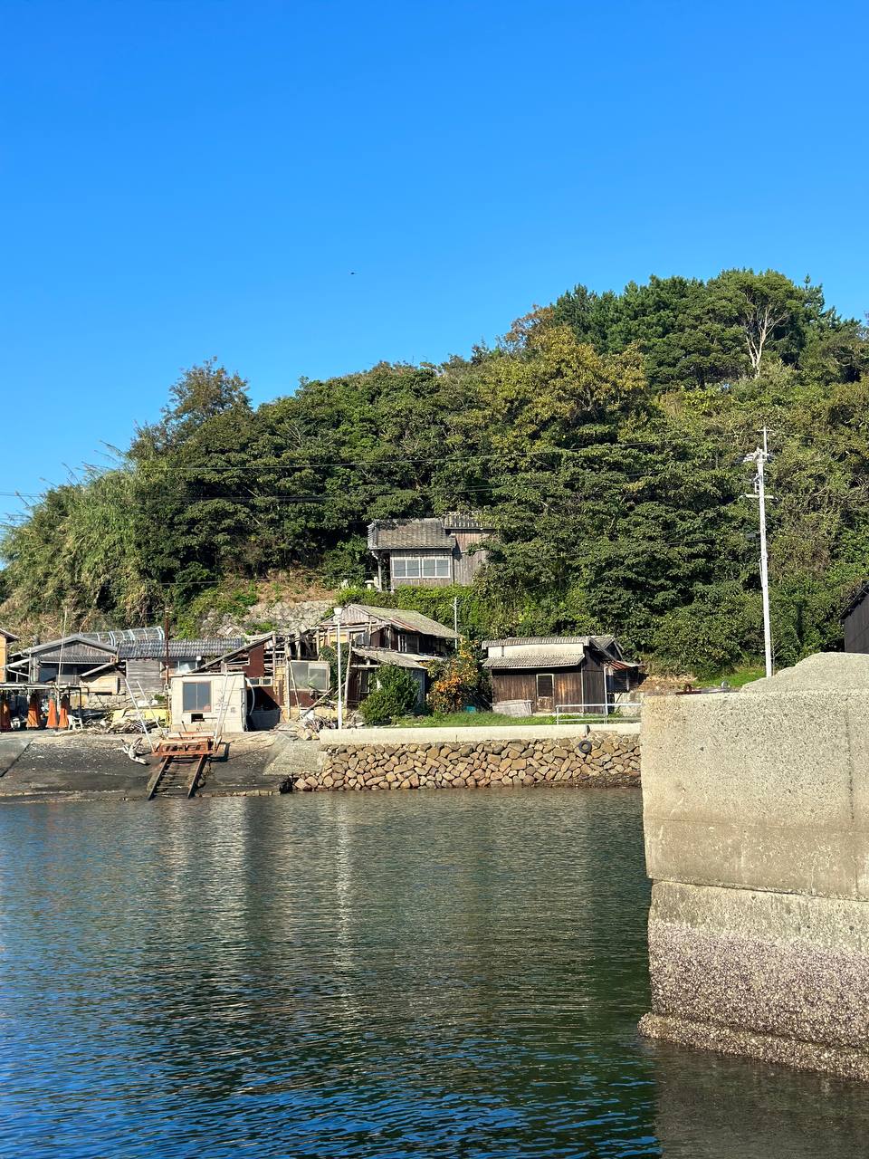 終於到貓島上