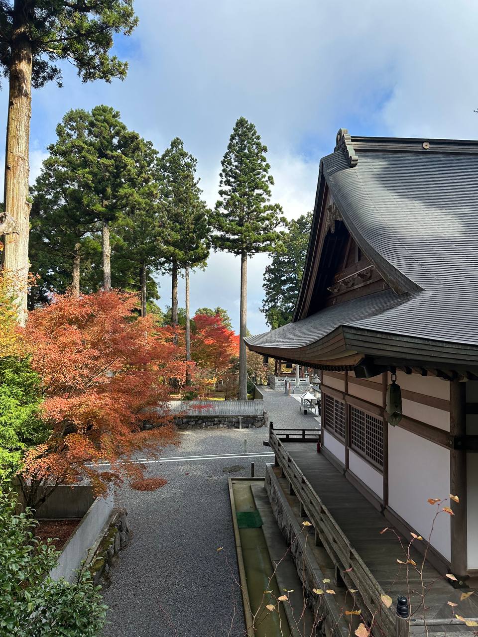 雲邊寺紅葉