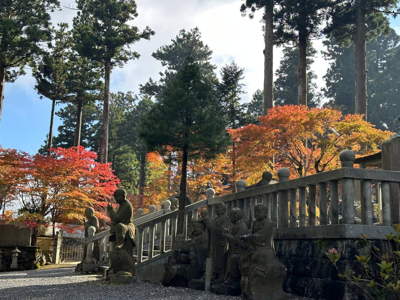 雲邊寺紅葉