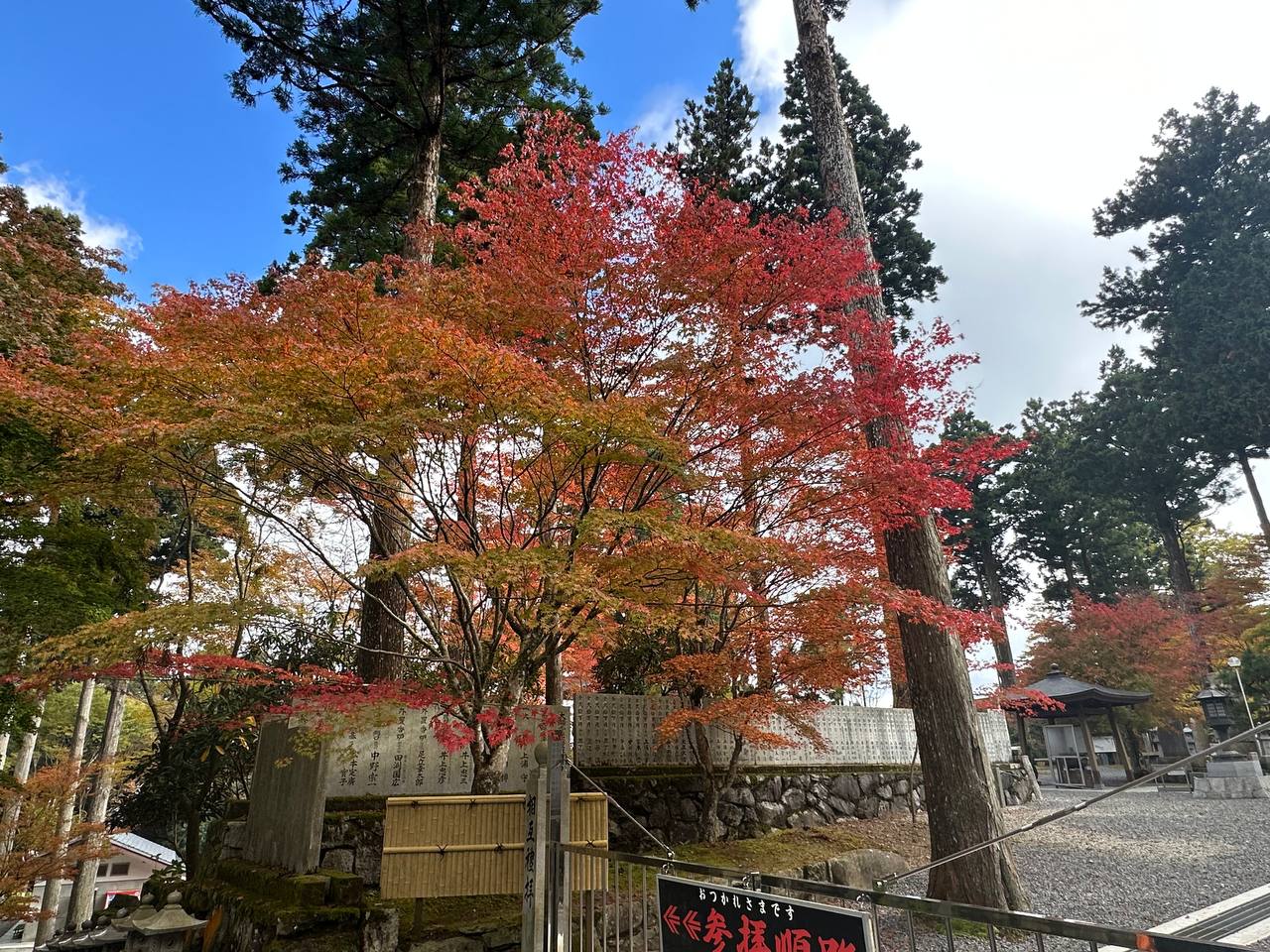 雲邊寺紅葉