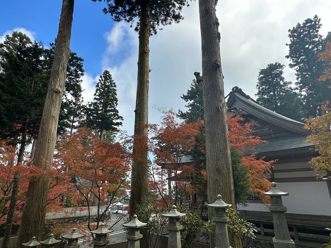 雲邊寺紅葉