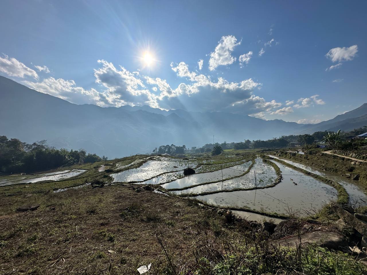 沙壩的梯田