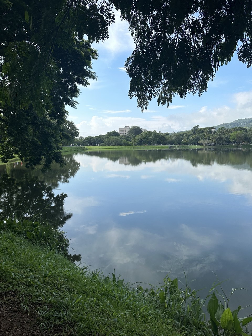 清邁大學的美景