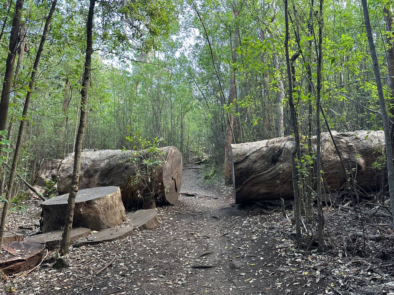 national_park