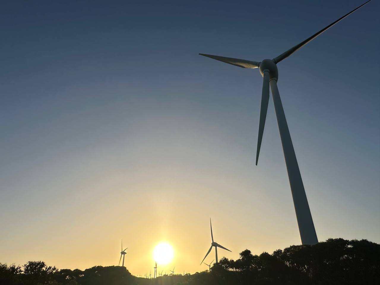 windmildfarm
