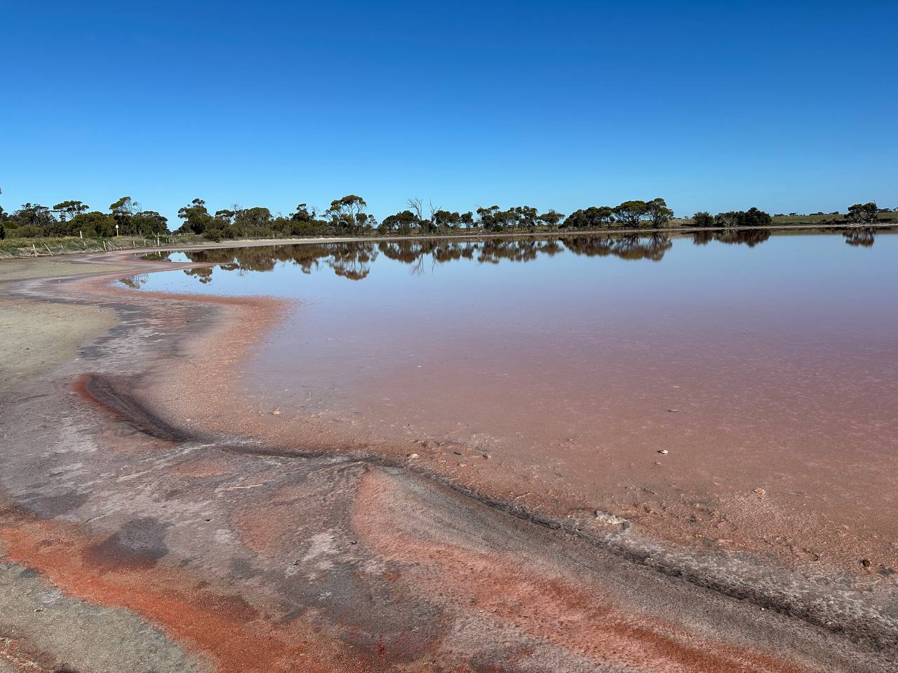 small_pink_lake
