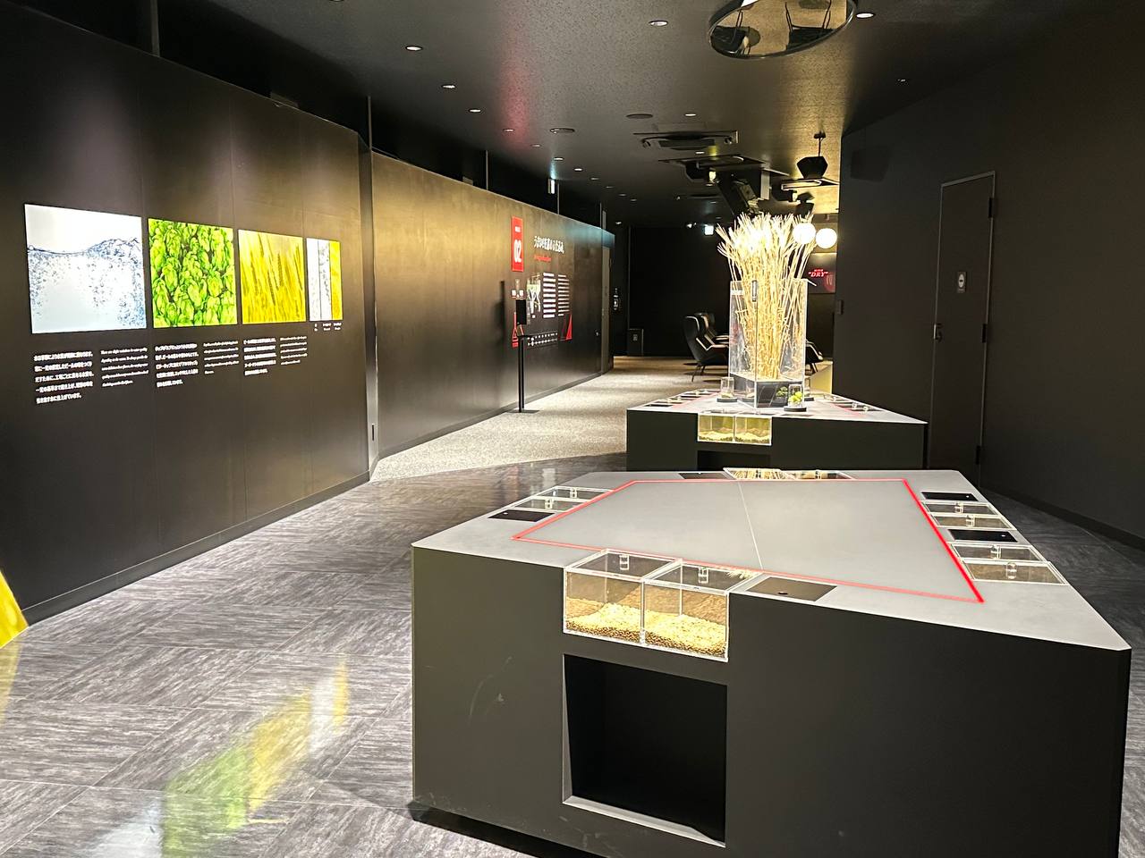 博物館展覽